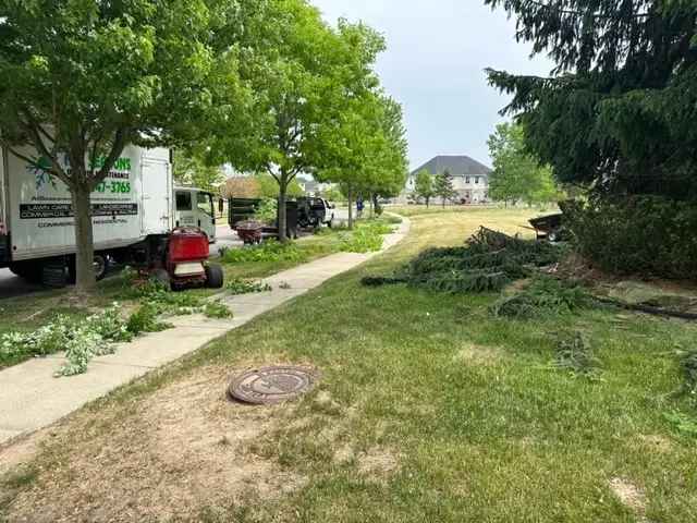 Tree Trimming Services in Plymouth, MI