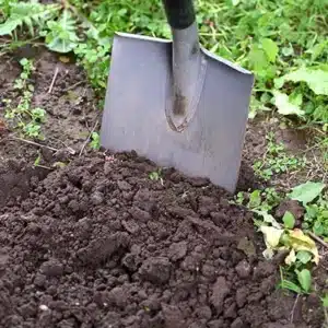 Removing a Hedge from Property