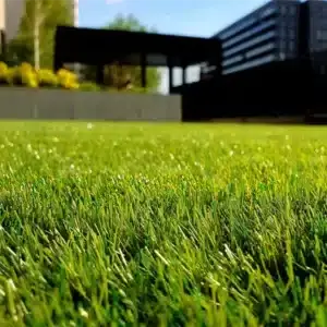 Freshly mowed residential lawn in Michigan