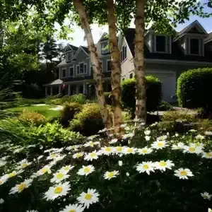 Custom Landscaped Front Yard