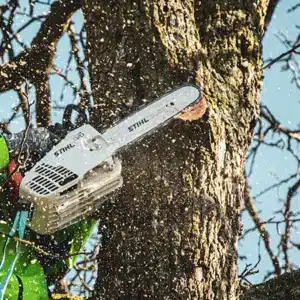 Man trimming a tree with a chainsaw.