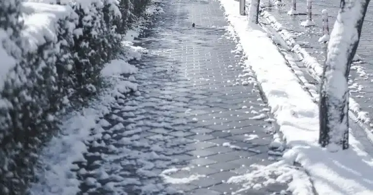 Sidewalk in need of Snow and Ice Management