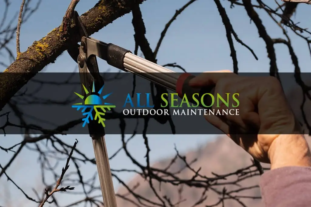 Man pruning trees with loppers. Company logo appears on top.