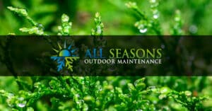 Choosing the Best Local Plants for a Lush Southern Michigan Commercial Landscape Blog Featured Article