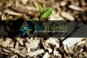 Mulch Installation Blog Featured Image