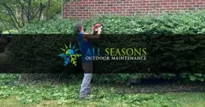 Hedge Trimming Services in Plymouth, MI