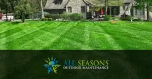 Lawn Care Featured Image