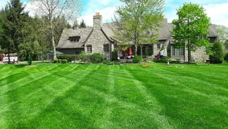 Lawn Services in Farmington Hills, MI